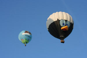 Breda Ballon Fiesta 2007 - Special shape calimero