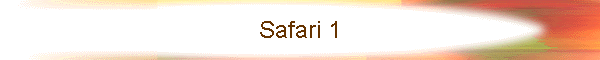 Safari 1