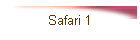 Safari 1