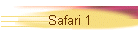 Safari 1